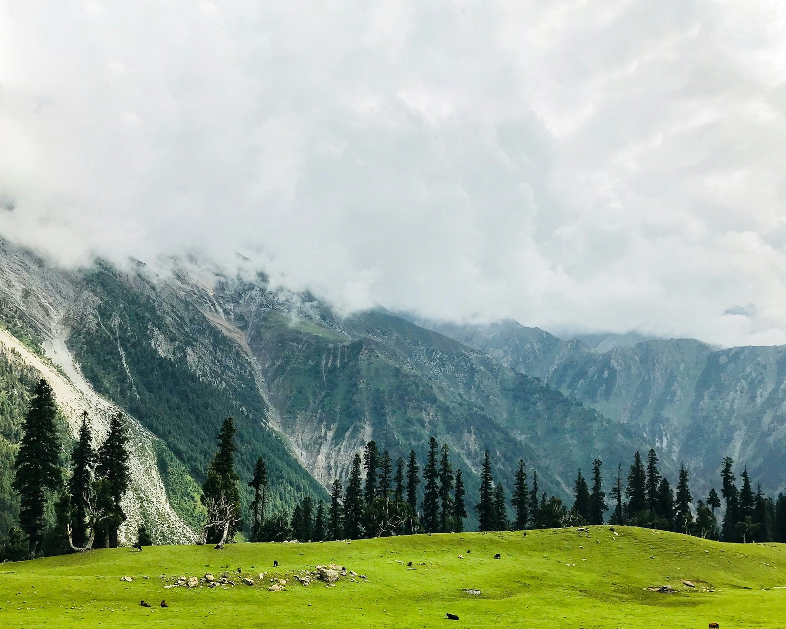 Kashmir Tour Package 2026: Prices, Itineraries, Hotels & Packages