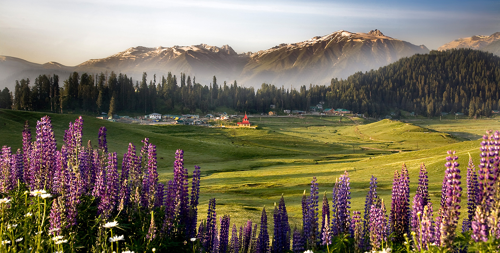 Best Travel Agencies in Kashmir: How to Choose a Trusted Local Tour Operator