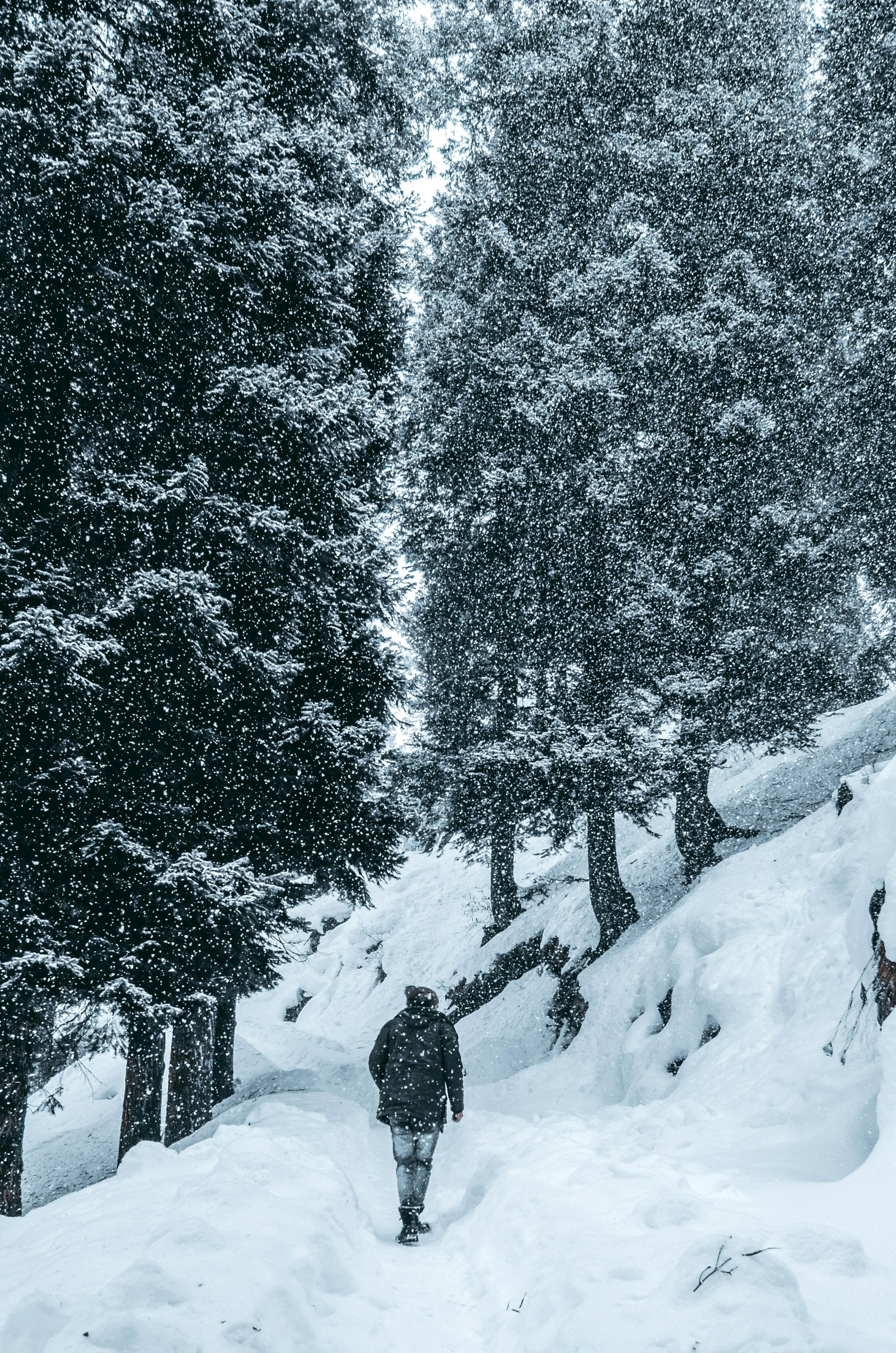 What to Wear in Kashmir in Winter? Complete Packing & Clothing Guide