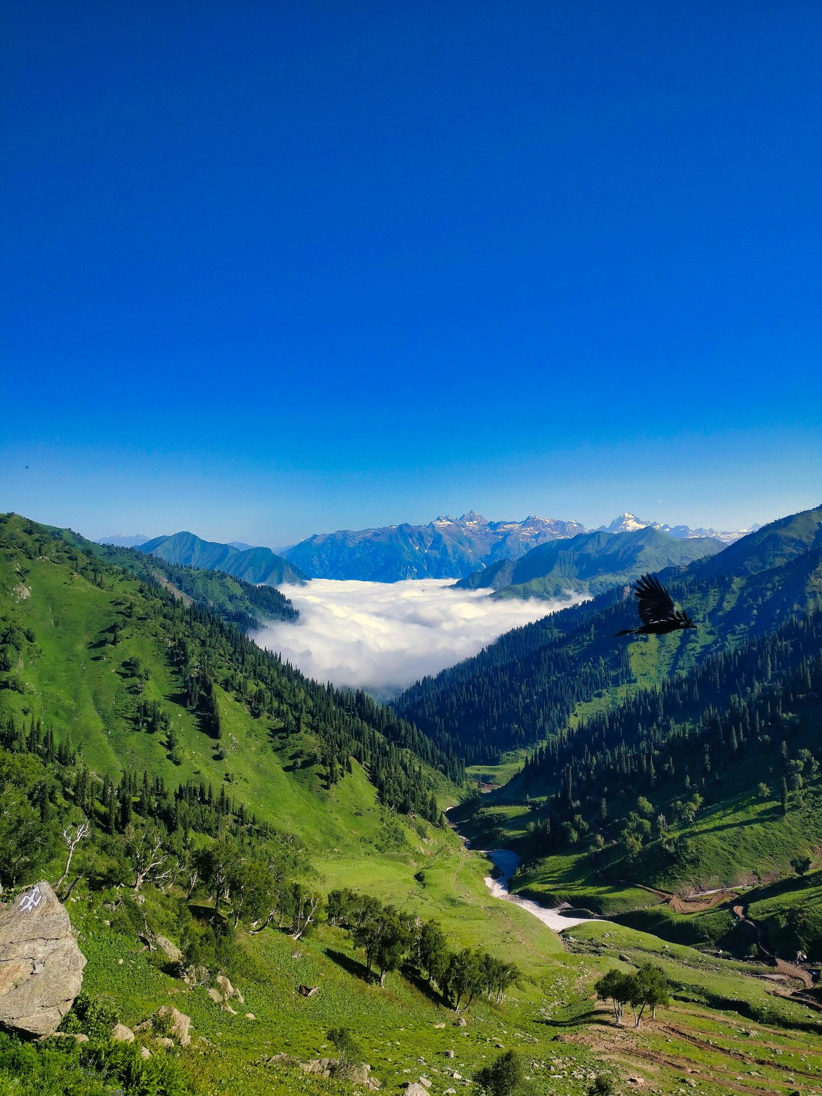 Kashmir Tour Package: Complete Guide to Choosing & Booking the Right Kashmir Trip