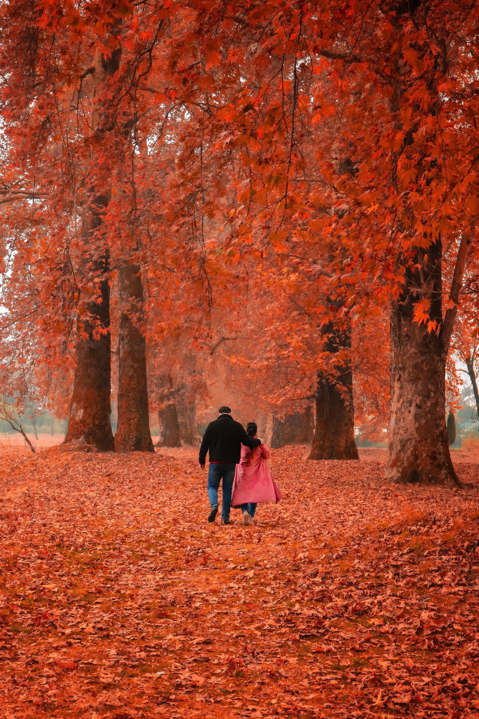 Kashmir Honeymoon Package – 5 Days / 4 Nights
