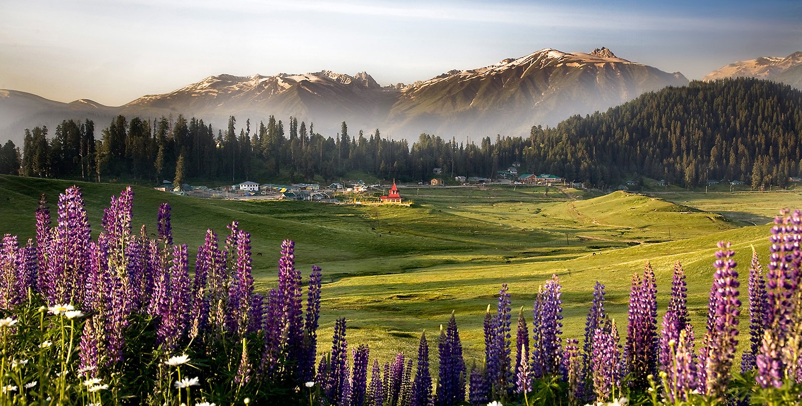 gulmarg-meadows-srinagar-tri-iter-day1.jpg