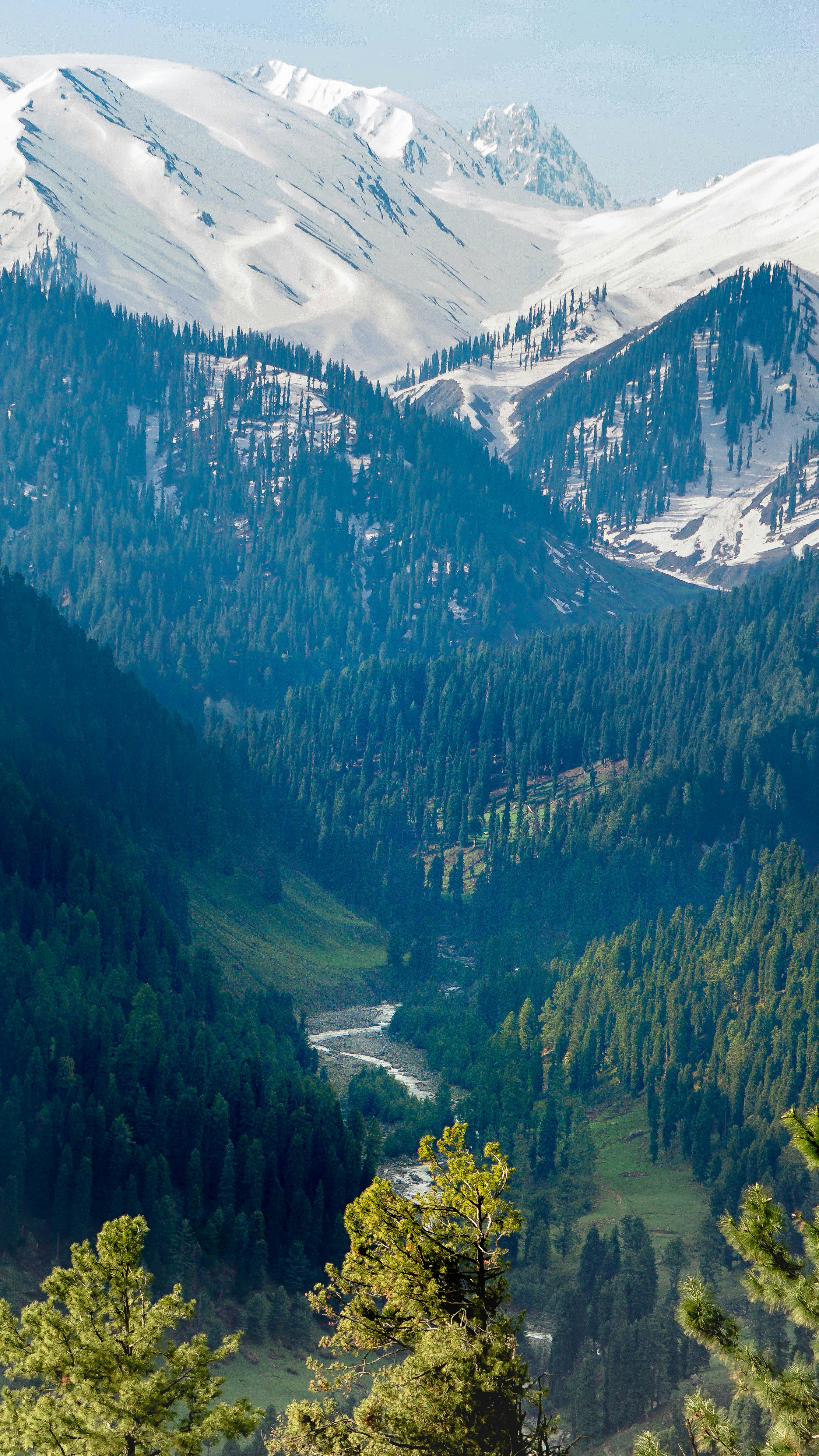 Mesmerising Kashmir Budget Friendly